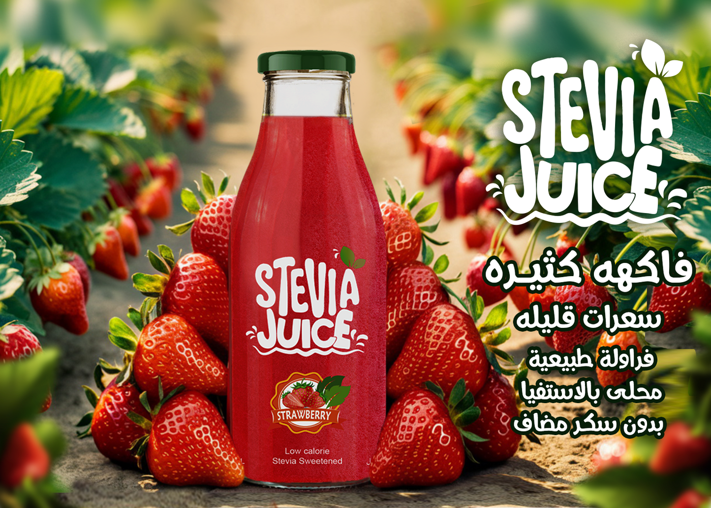 عصير فراولة -  Stevia Juice